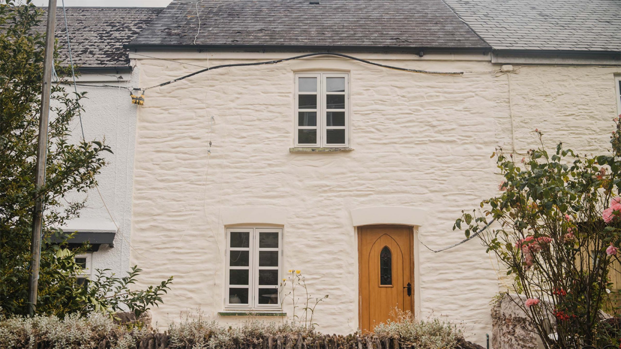 Lime rendering in Barry